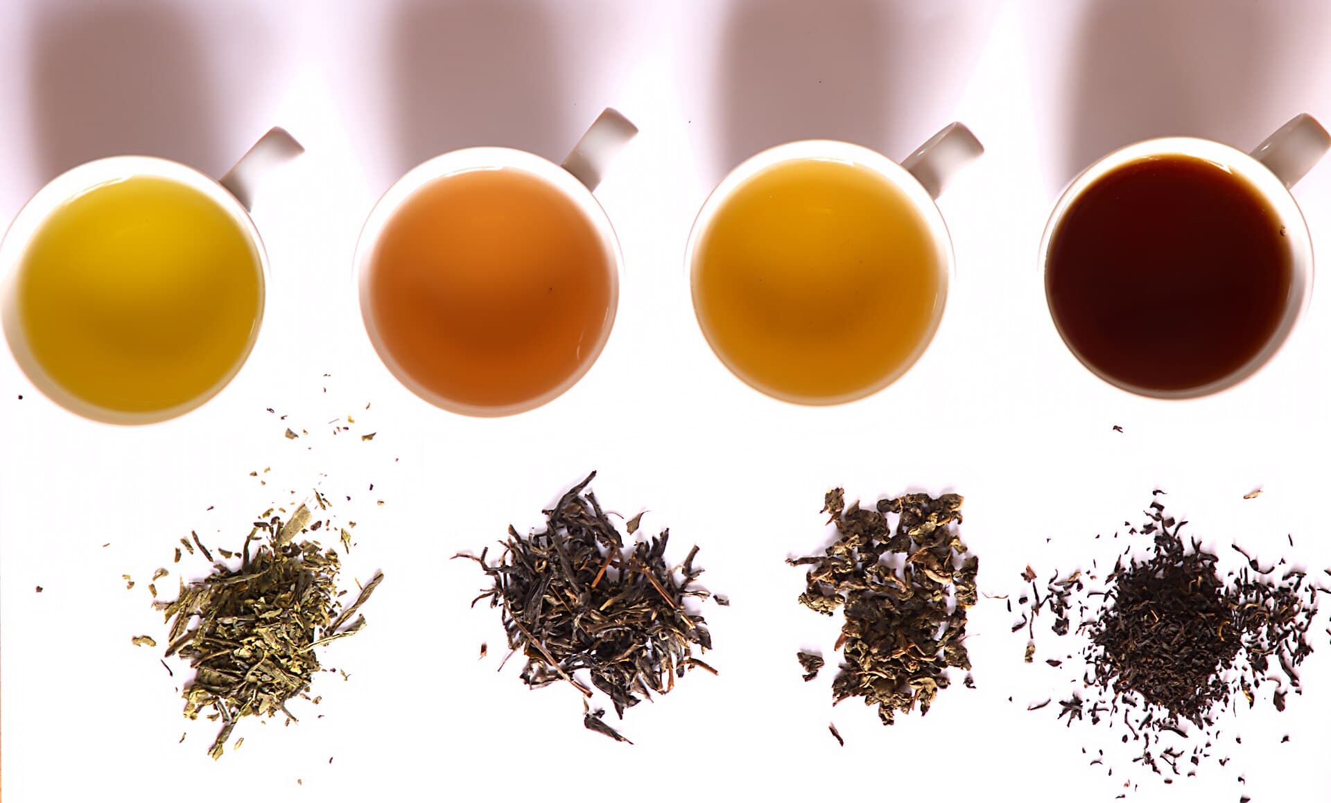 Several loose Chinese teas shown side by side, ranging from pale green to dark brown by level of oxidation.